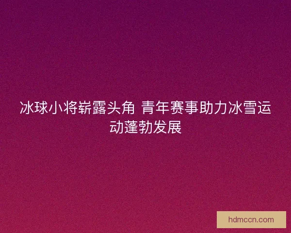 冰球小将崭露头角 青年赛事助力冰雪运动蓬勃发展